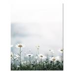 Quadro Alpine Meadow Alluminio Dibond / Plexiglas - 70 x 90 cm