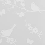 Store enrouleur Oiseau Polyester - Blanc - 45 x 150 cm