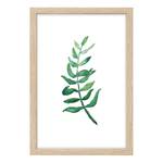 Quadro Olive Twig Materiale plastico / Plexiglas - Verde