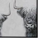 Afbeelding Highland Cows canvas/MDF - grijs