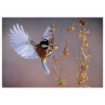 Afbeelding Bird canvas/MDF - meerdere kleuren