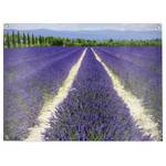 Poster Lavendel polyester PVC - paars