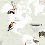 Affiche World Map Animals Tissu - Multicolore