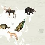 Poster World Map Animals Textil - Mehrfarbig