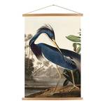 Poster Heron Textil - Mehrfarbig