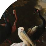 Papier peint Rijksmuseum Birds Intissé - Multicolore