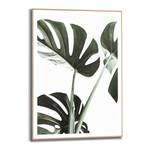 Monstera Bild Gerahmtes