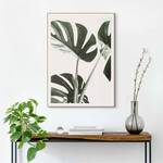 Poster con cornice Monstera Poster con cornice - Verde