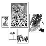 Set afbeeldingen Dieren Afrika (5 stk) Print in houten lijst - zwart