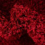 Tapis épais Shaggy Shag I Polypropylène - Rouge cerise - 65 x 90 cm