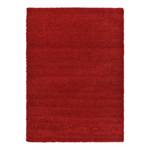 Tapis épais Shaggy Shag I Polypropylène - Rouge cerise - 65 x 90 cm