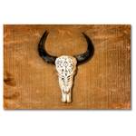 Canvas Buffalo Head Tela / Legno massello di abete - Marrone / Beige