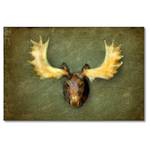 Wandbild The Elk