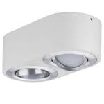 LED-plafondlamp Argun aluminium - 2 lichtbronnen