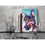 Quadro da colorare Bulldog Portrait MDF / Tela - Multicolore