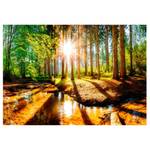 Fototapete Marvelous Forest Premium Vlies - Mehrfarbig - 200 x 140 cm