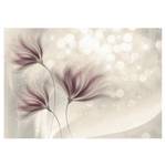 Fototapete Luminous Morning Premium Vlies - Beige / Pink - 400 x 280 cm