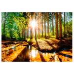 Fototapete Marvelous Forest Premium Vlies - Mehrfarbig - 150 x 105 cm