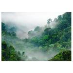 Fototapete Morning Fog Premium Vlies - Mehrfarbig - 300 x 210 cm
