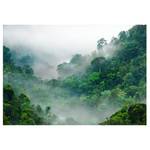 Fototapete Morning Fog Premium Vlies - Mehrfarbig - 400 x 280 cm