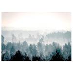 Fotobehang Winter Forest premium vlies - meerdere kleuren - 250 x 175 cm