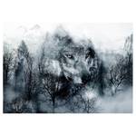 Fotobehang Mountain Predator premium vlies - zwart/wit - 400 x 280 cm