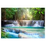 Fotomurale Awakening of Nature Tessuto non tessuto premium - Multicolore - 250 x 175 cm