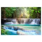 Fototapete Awakening of Nature Premium Vlies - Mehrfarbig - 400 x 280 cm