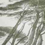 Papier peint en intissé Forêt Vintage Blanc - 0,53 m x 10,05 m - Blanc / Vert