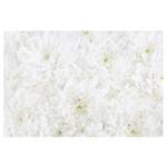 Papier peint intissé Mer de dahlias Papier peint - Blanc - 384 x 255 cm