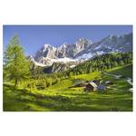 Vliesbehang Stiermarken Alpenweide vliespapier - groen - 384 x 255 cm