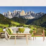 Vliesbehang Geisler in Zuid-Tirol vliespapier - groen - 432 x 290 cm