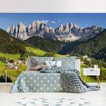 Papier peint intissé Tyrol du sud Papier peint - Vert - 432 x 290 cm