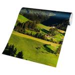 Vliesbehang Geisler in Zuid-Tirol vliespapier - groen - 432 x 290 cm