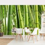 Vliesbehang Bamboo Trees vliespapier - groen - 384 x 255 cm