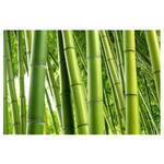 Fotomurale Bamboo Trees Tessuto non tessuto - Verde - 432 x 290 cm