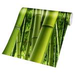 Vliestapete Bamboo Trees Vliespapier - Grün - 432 x 290 cm