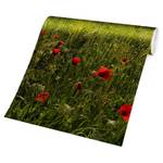 Vliesbehang Toscane Lente vliespapier - groen - 432 x 290 cm