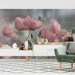 Vliestapete Malerische Mohnblumen Vliespapier - Pink - 384 x 255 cm