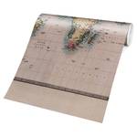 Fotomurale Cartina del mondo del 1850 Tessuto non tessuto - Beige - 432 x 290 cm