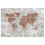 Fotomurale Cartina del mondo Shabby Tessuto non tessuto - Grigio - 384 x 255 cm