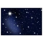 Vliesbehang Stars vliespapier - zwart - 384 x 255 cm