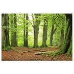 Vliesbehang Mighty Beech Trees vliespapier - groen - 384 x 255 cm