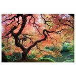 Papier peint intissé Jardin japonais Papier peint - Rouge - 384 x 255 cm