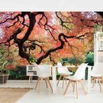 Vliesbehang Japanse Tuin vliespapier - rood - 384 x 255 cm