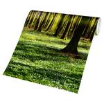 Fotomurale Foresta illuminata Tessuto non tessuto - Verde - 384 x 255 cm