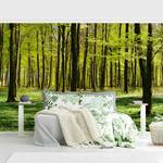 Papier peint intissé Prairie en forêt Papier peint - Vert - 432 x 290 cm