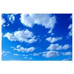 Fotomurale Cielo sereno Tessuto non tessuto - Blu - 384 x 255 cm