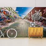 Papier peint intissé Skate Graffiti Papier peint - Multicolore - 384 x 255 cm