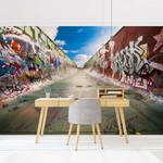 Vliesbehang Skate Graffiti vliesbehang - meerdere kleuren - 384 x 255 cm